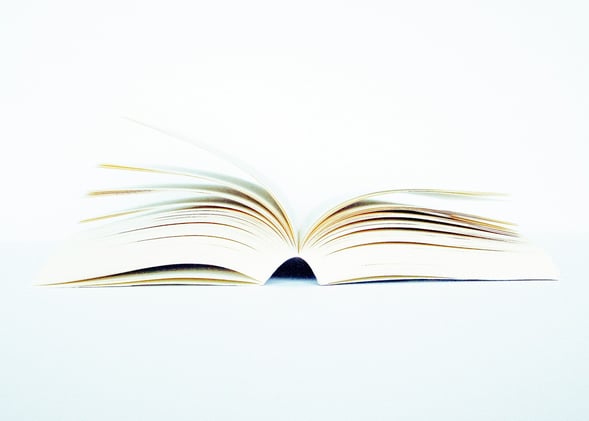 Litigation Finance in Environmental Disputes