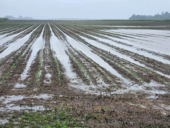 Newsport Alert Wednesday 19 March 2025