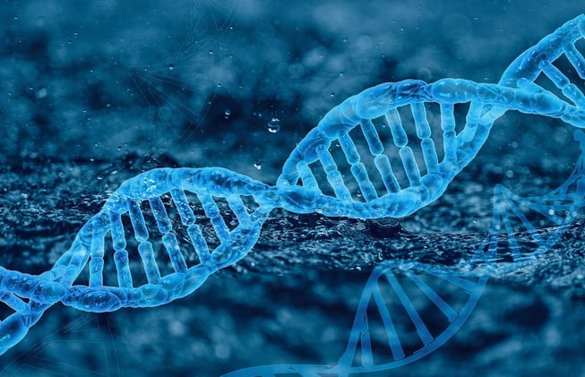 Unlocking Longevity: The Secrets to a Healthier, Longer Life