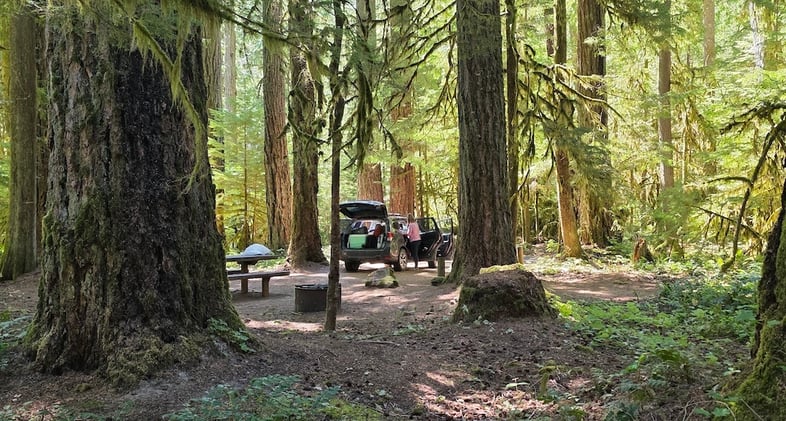 The Power of Camping: Rewilding Through Simplicity & Discomfort