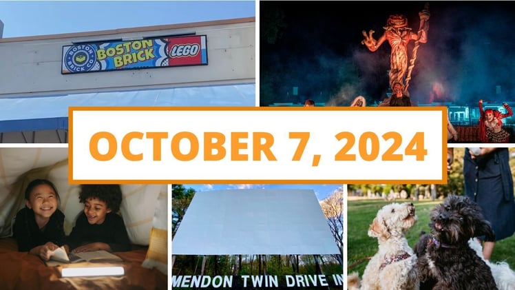 Halloween movie marathon, small business news & more!