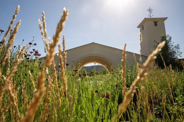 Inside the most anticipated California winery opening of the year, or maybe ever // A Family Feud at an Oregon Winery Turns to Vinegar Over A.I. Slop
