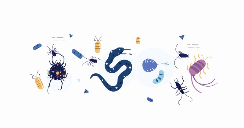  AI Finds Antibiotics in Venom