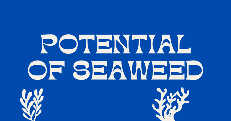 The Potential of Seaweed