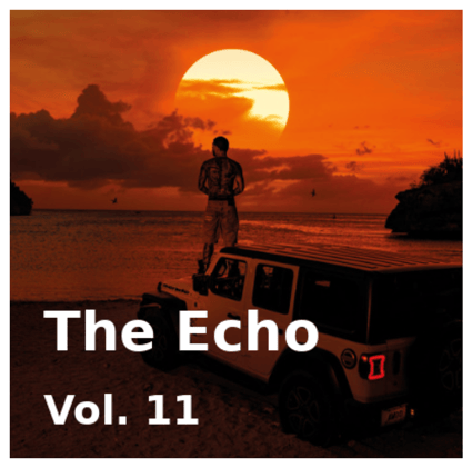 The Echo Vol. 11 - The Panther is back