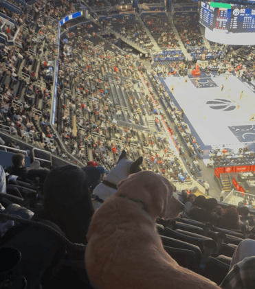 Two Truths and a Lie 