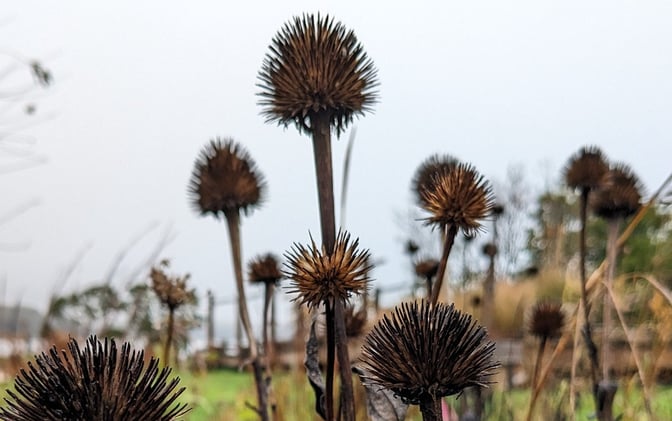 This Morning's Bulletin — 12.2.25