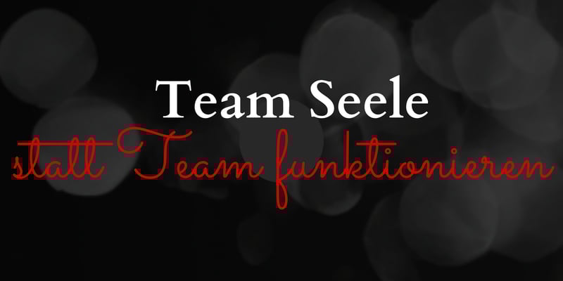 Team Seele statt Team Funktionieren ❤️