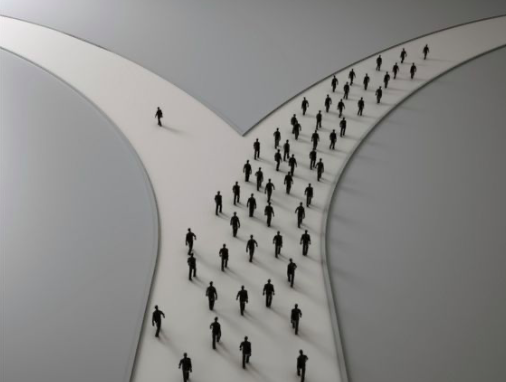 The Preparation: Una alternativa radical a la universidad