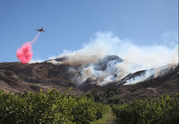 Moorpark Mountain Fire Update!