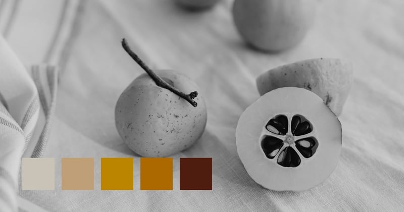 Soft Light, Contrast And Highlights