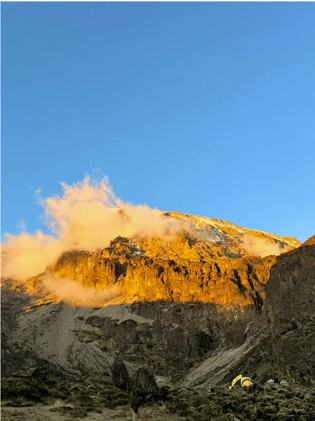 OP #314: Growth Marketing Lessons Learned