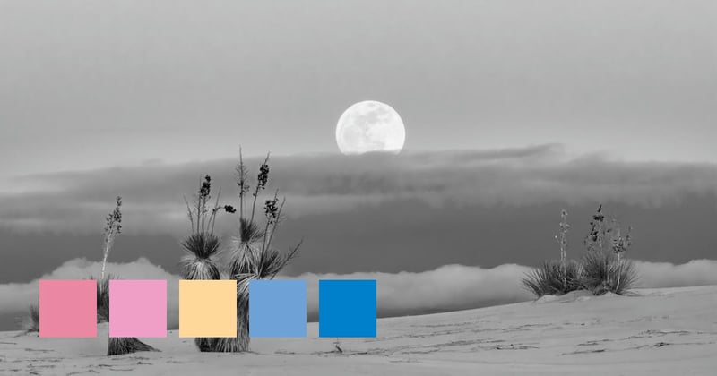 Desert's Twilight Canvas