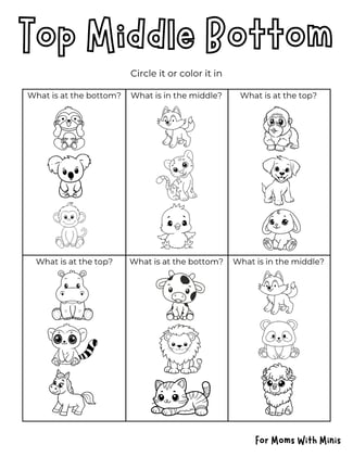 Top Middle Bottom Baby Animal Theme