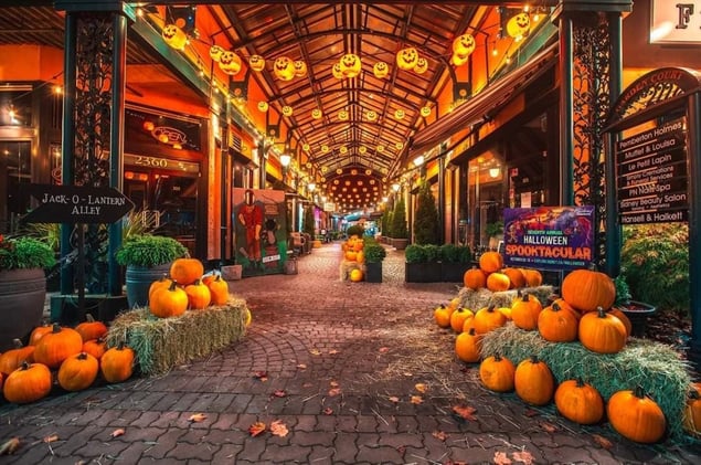 Oct 29 - Change coming to Esquimalt council 