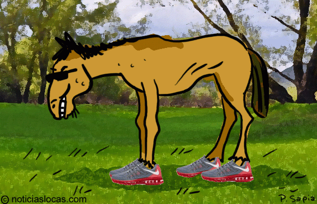Crean las primeras zapatillas para caballos