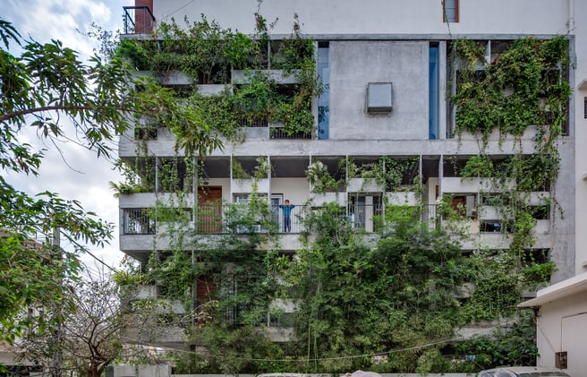 As fachadas com plantas são solução ou ilusão?