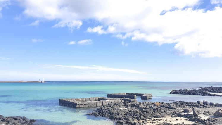 저의 소중한 스친들에게
