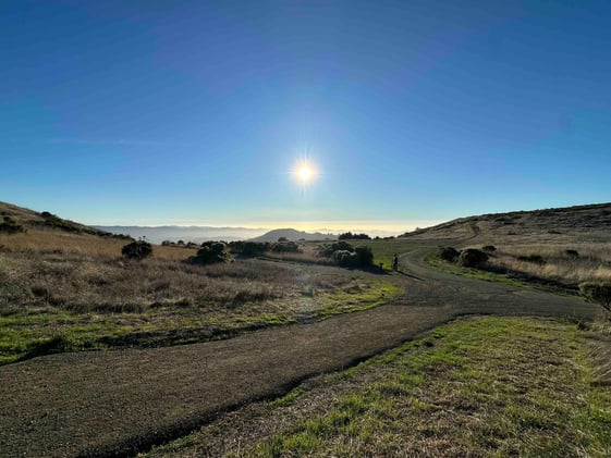Golden Hour on Russian Ridge
