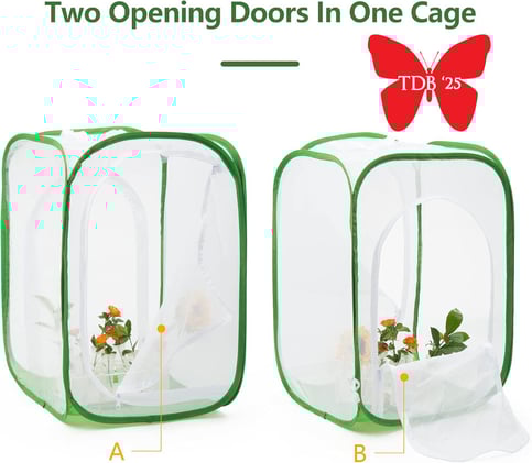 🌿🐛Caterpillar Cages + Accessories for 2026❓