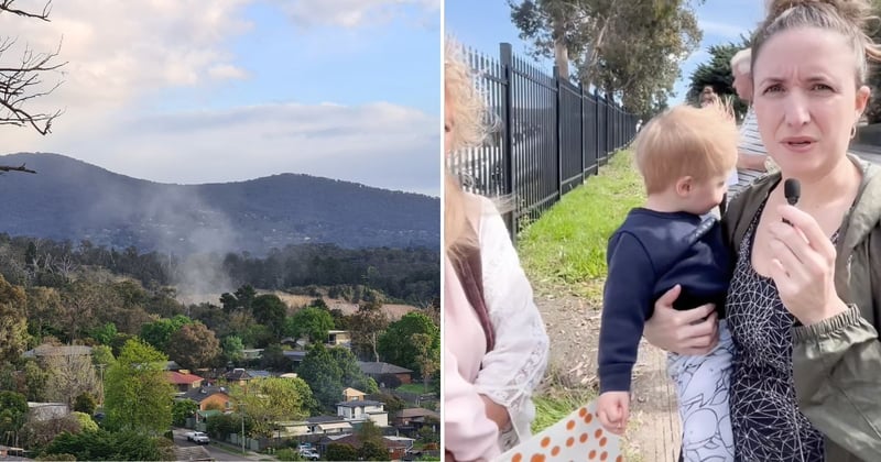 🟠 Why local news matters