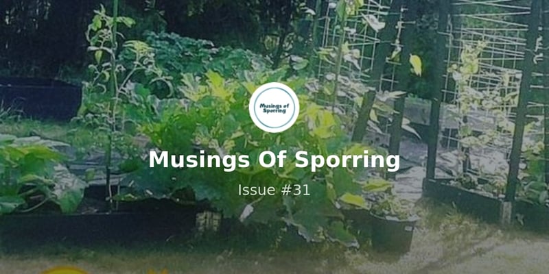 Musings Of Sporring - Issue #31