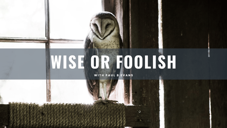 Wise & Foolish + How Not to Care