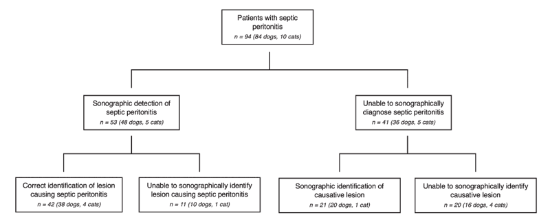 Septic peritonitis or not, might not be able to tell on US