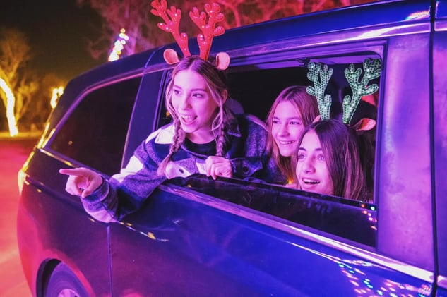 🍣 All-You-Can-Eat Sushi, Holiday Lights Deal, & More in NBTX