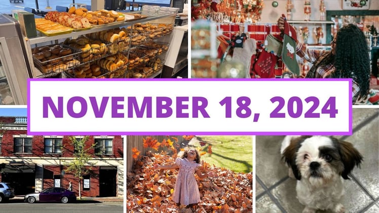 A new bookstore opens, a popular craft showcase returns & more!