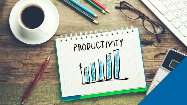 The Productivity Conundrum