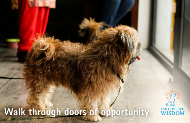 Walk Through Doors of Opportunity