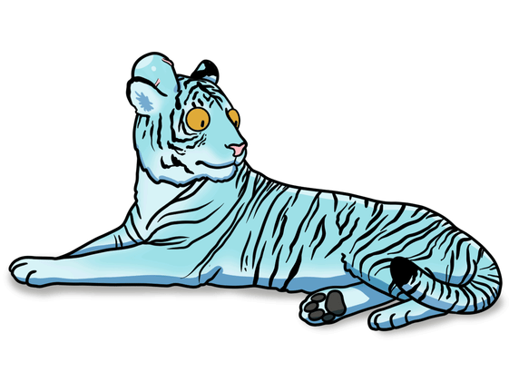 Why Do Tigers Have Stripes?🐅