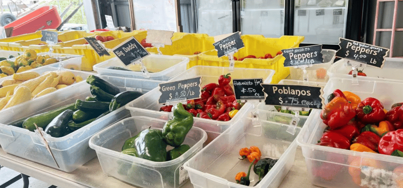 🌿 MayneLand Farm Tradition & More!