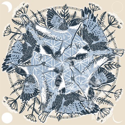 Meet the Mountain Messengers: Kingfisher & Magpie