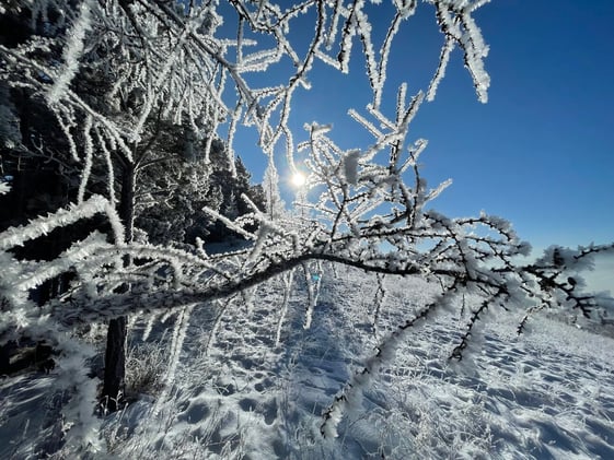 A Year in Review 2024