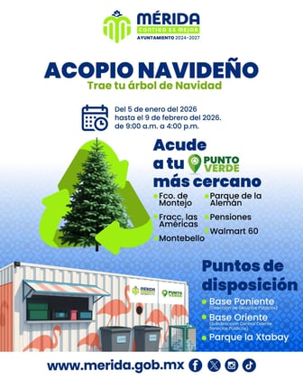 El último regalo de Navidad: Dale una segunda vida a tu arbolito