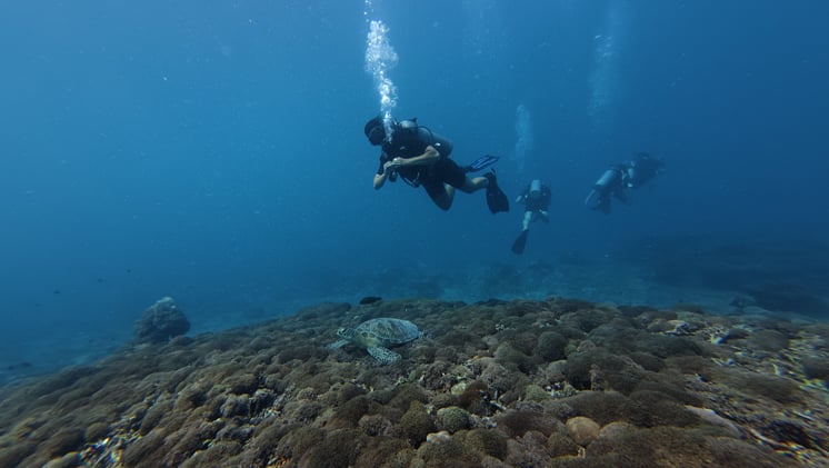 🚀Mistrzowskie procesy: case study 3WDive