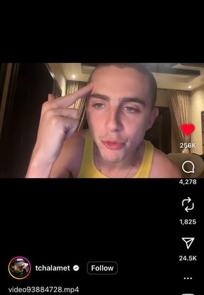 timo, nuzzi, bubba, ackman