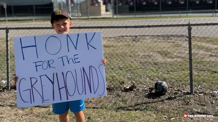 👉The Waving Kid + Winery Mystery + Zoo Animals