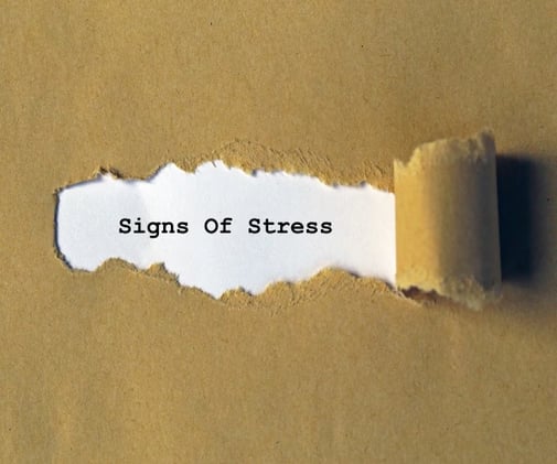 Is it just stress, or is it High Cortisol?