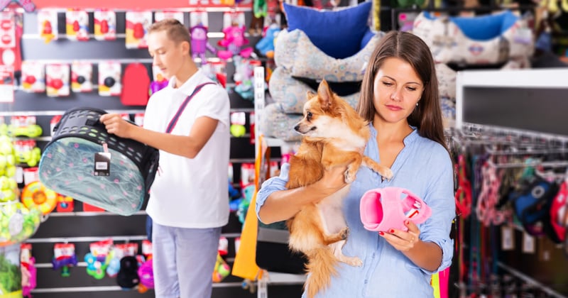 Why U.S. Pet Stores Are Shifting From Products to Experiences