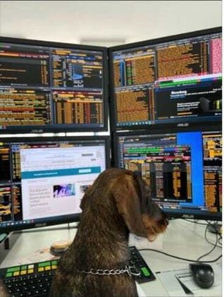 🗂️ The 33 Best Market Resources 