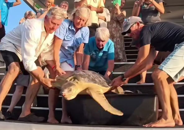 Newsport Alert Tuesday 25 November 2025