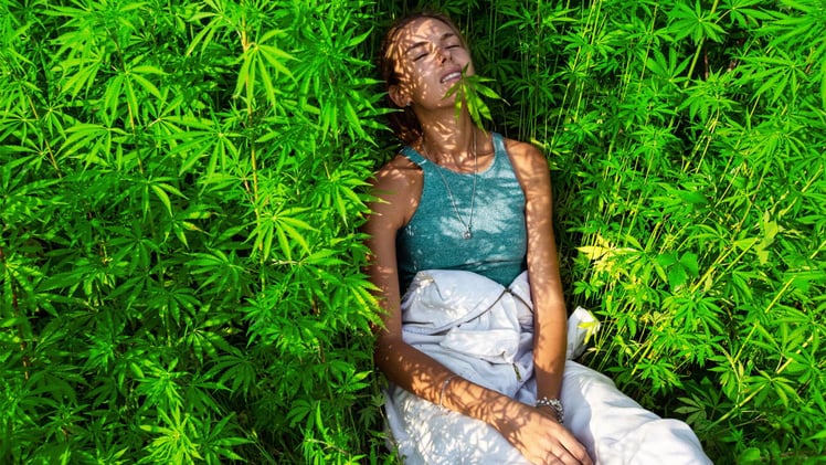 🚫 Is There a "Safe" Amount? New Research on Teens & Marijuana