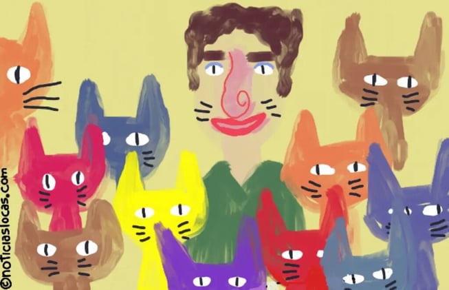 La auténtica vieja de los gatos: vive con 1100 gatos rescatados