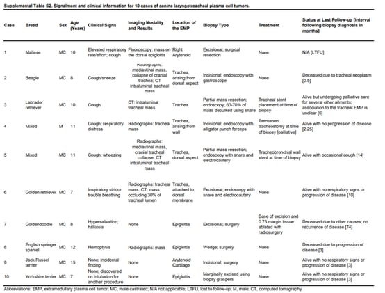 Rare Airway Tumors in Dogs: Plasma Cell Tumors May Respond Well to Surgery