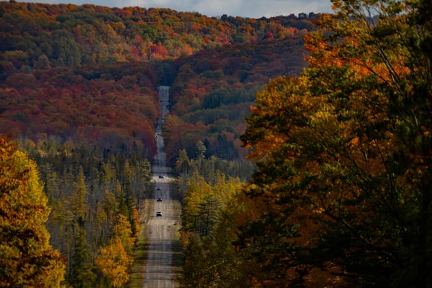 🌊 Happy Halloween 