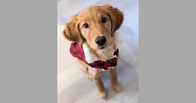 Women’s ZenMindset Newsletter