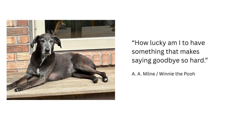 Revenue Diaries Entry 60